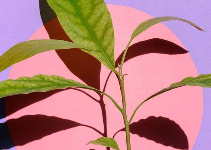 Symmetrical light patterns showing balance and harmony